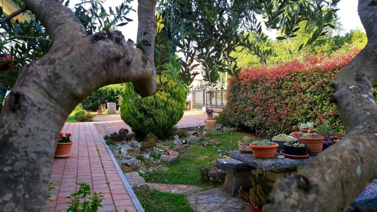 Apartment Green Oasis 1 Umag Eksteriør bilde